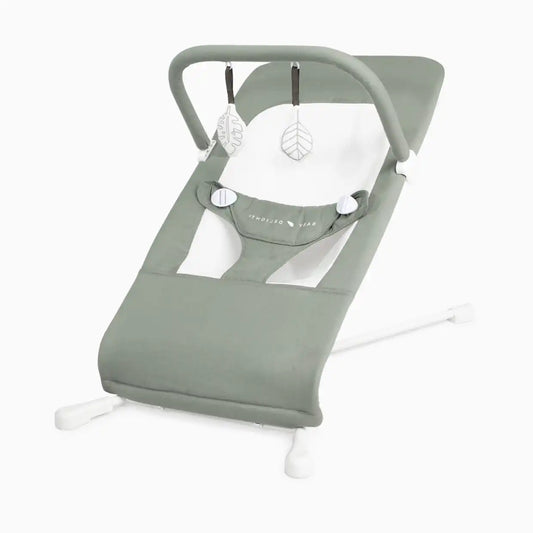 Highland Organic Portable Bouncer