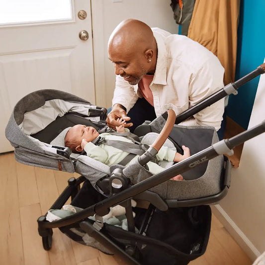 Cruz V3 Stroller