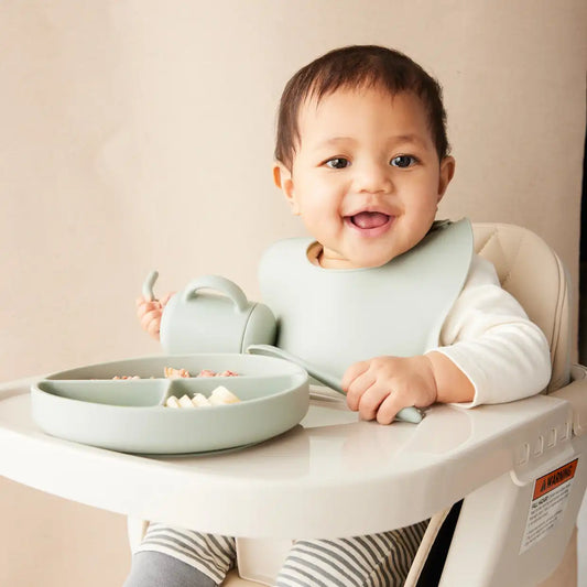 Bib (2 Pack)