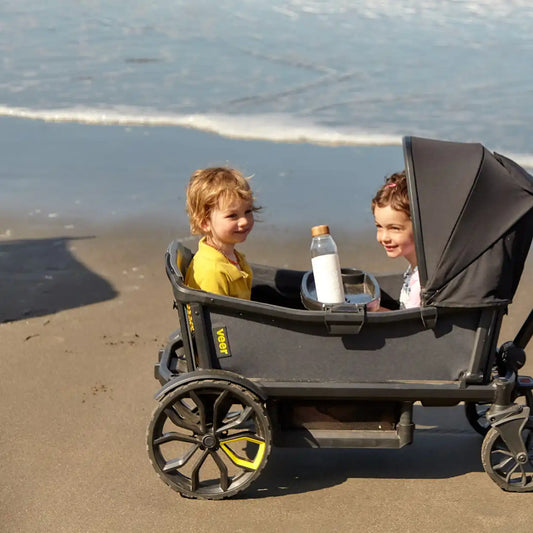 Cruiser Wagon Retractable Canopy