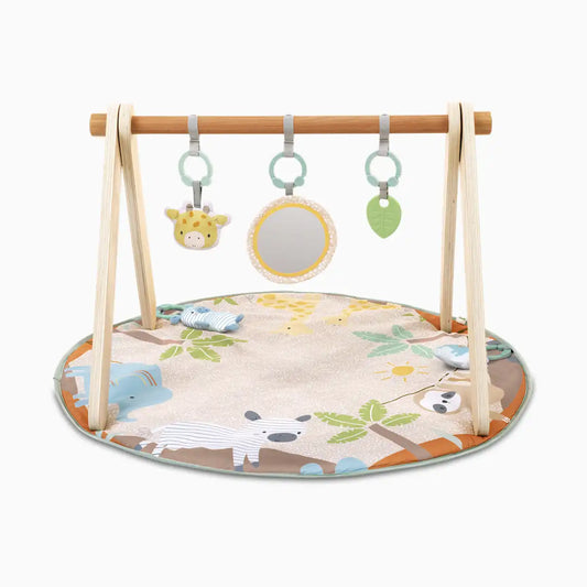 Wonder & Wood Wooden Toy Arch & Play Mat