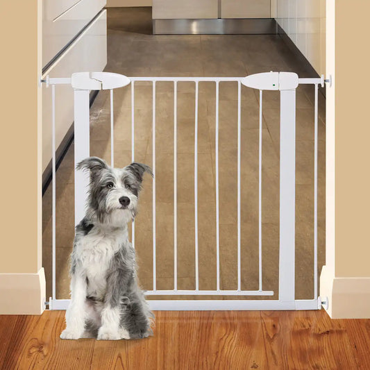 Boston Magnetic Auto Close Security Gate