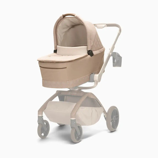 Carriage Accessory