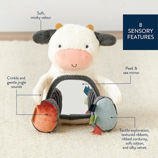 Farm Tummy Time Toy Bundle