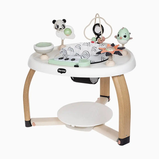 5-in-1 Stationary Activity Center