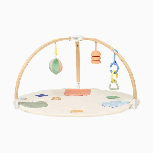 The Play Gym II
