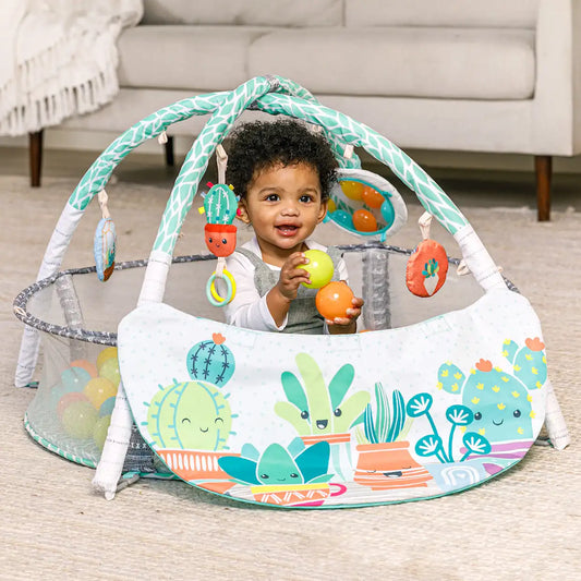 4-in-1 Jumbo Activity Gym & Ball Pit