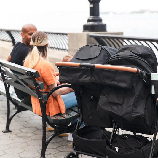 Double Stroller Organizer