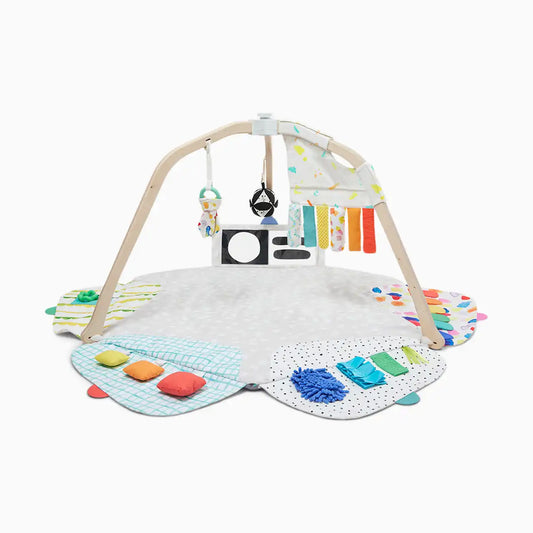Play Gym & Sensory Strands Bundle