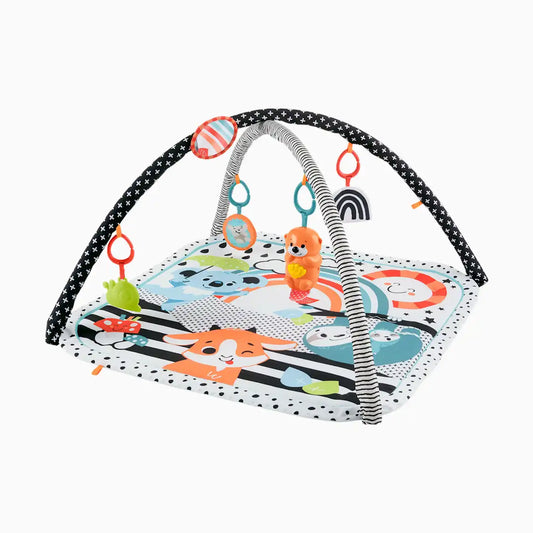 3-in-1 Music, Glow and Grow Gym
