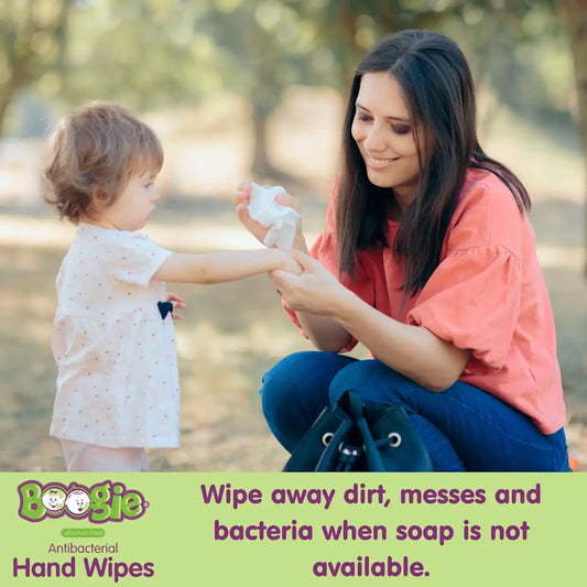 Antibacterial Hand Wipes (5 Pack)