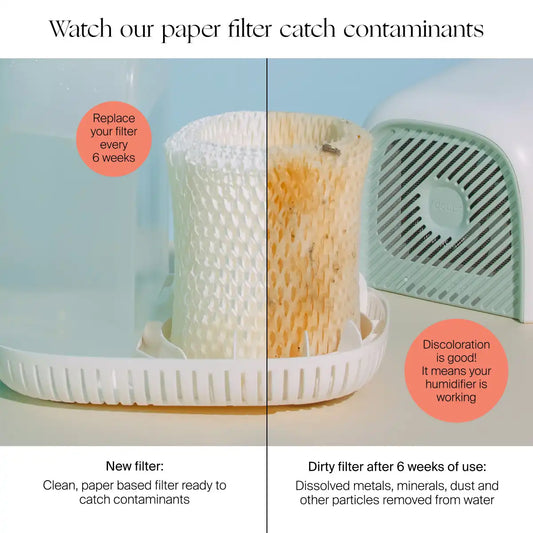 Humidifier Large Room Replacement Filters