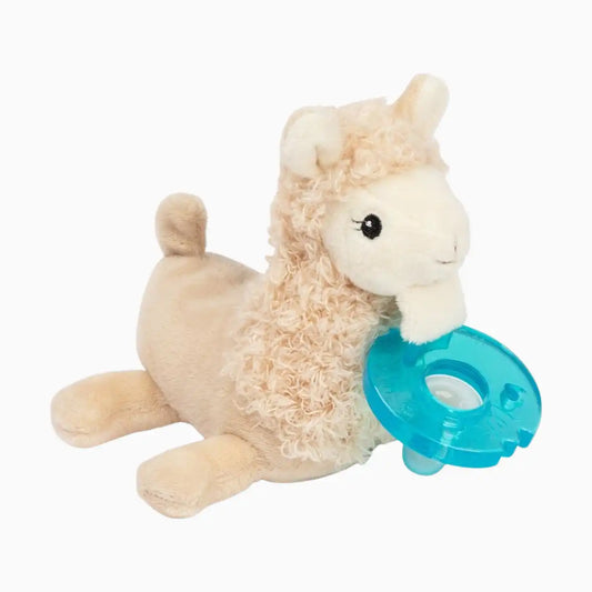 Pacifier