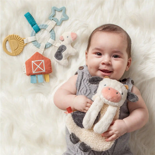 Plush Lovey & Teething Activity Toy Gift Set