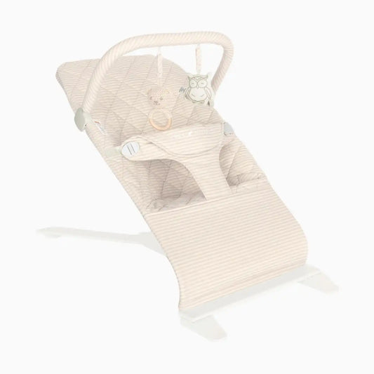 Alpine Organic Deluxe Portable Bouncer