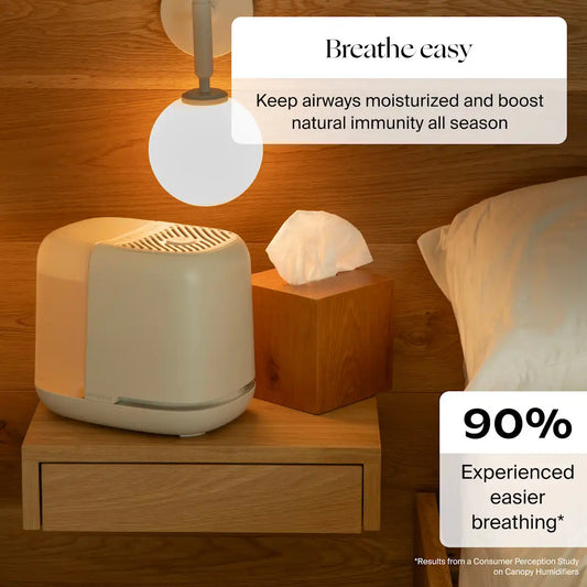Large Room Humidifier Starter Set