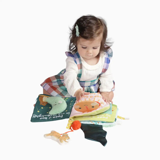 Soft Activity Crinkle Book