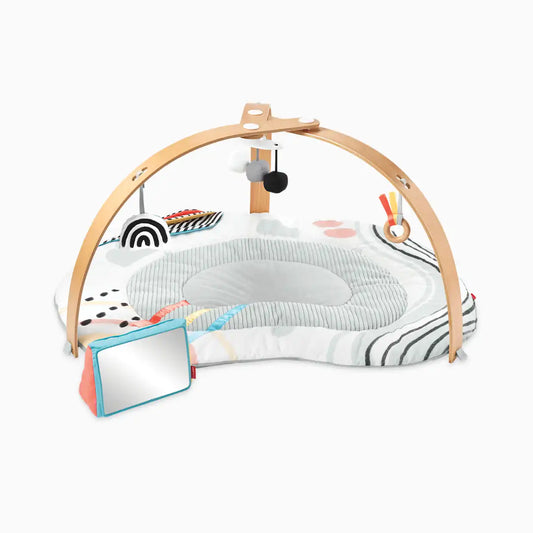 Discoverosity Montessori Activity Gym