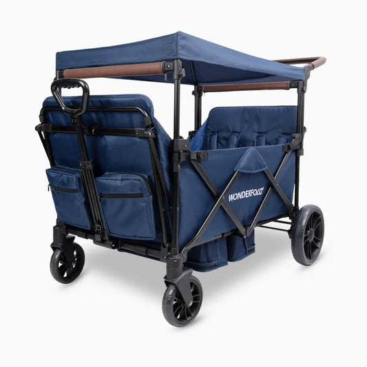 Push & Pull Double Stroller Wagon