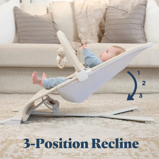 Alpine Organic Deluxe Portable Bouncer