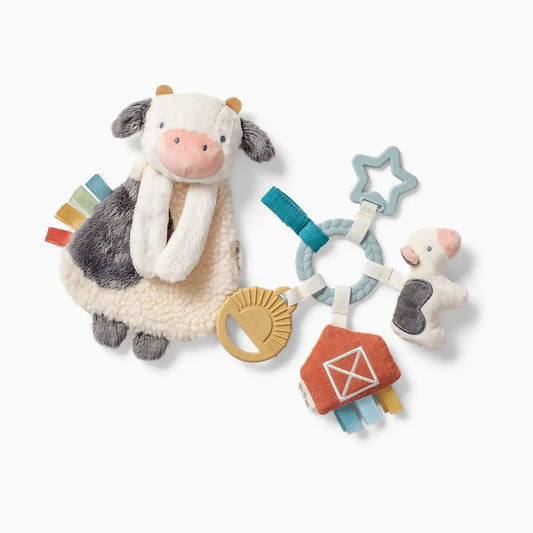 Plush Lovey & Teething Activity Toy Gift Set