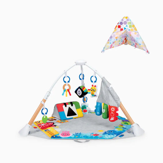 Discover More 4-in-1 Developmental Play Gym & Activity Mat