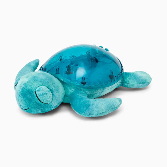 Tranquil Turtle