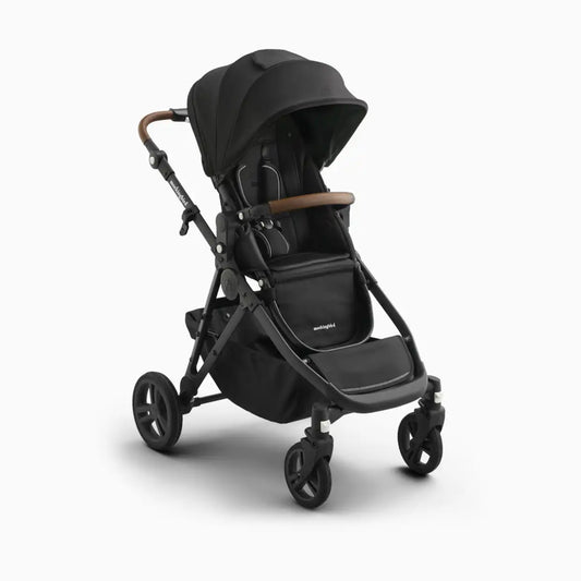 Single-to-Double Stroller 3.0