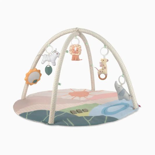 Savannah Sunset Activity Play Gym