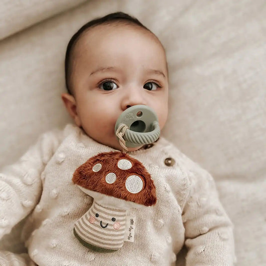 Silicone Pacifier and Plush Pal