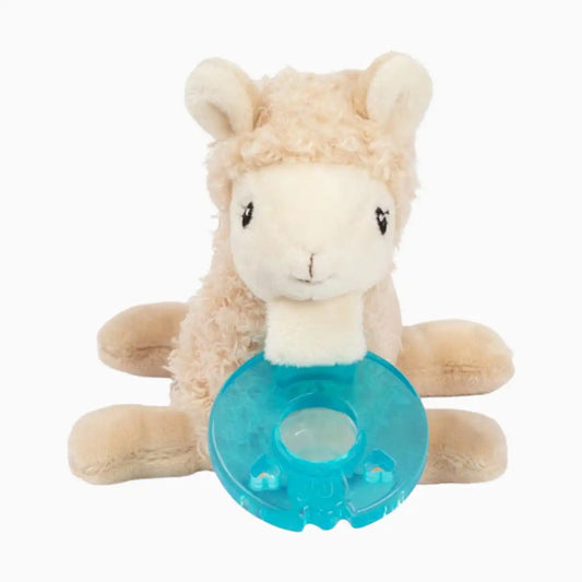 Pacifier