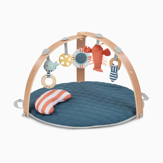 Cozy Spot Reversible Duvet Activity Gym
