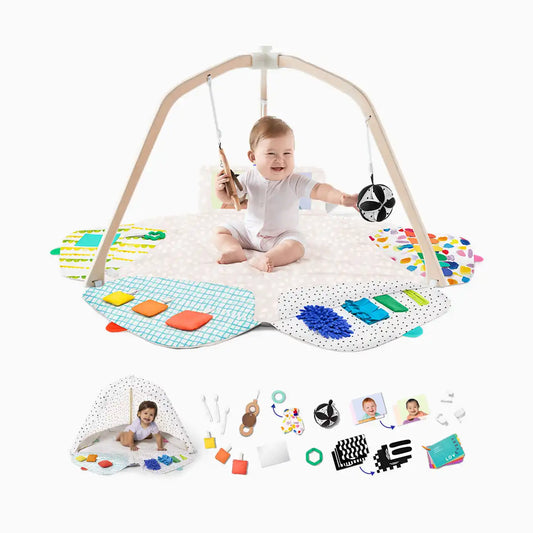 The Play Gym