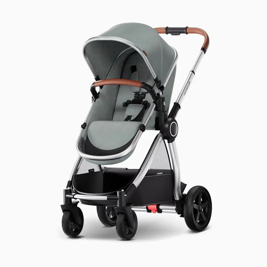 Ultimate 2 Seat Stroller
