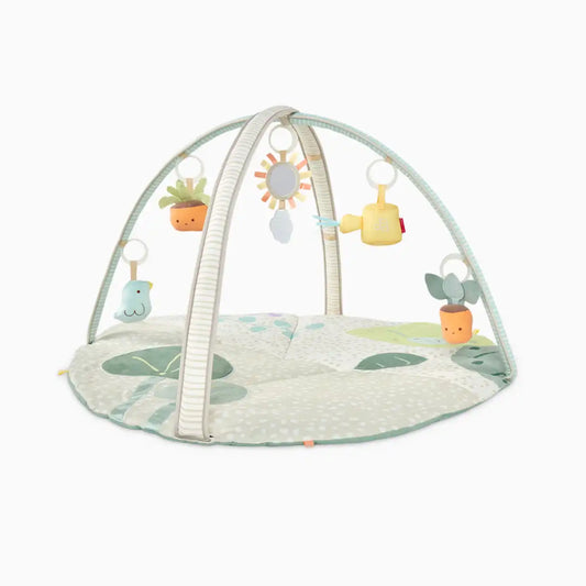 Garden Oasis Activity Gym