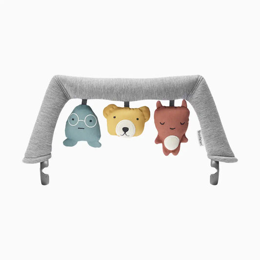 Toy for Bouncer